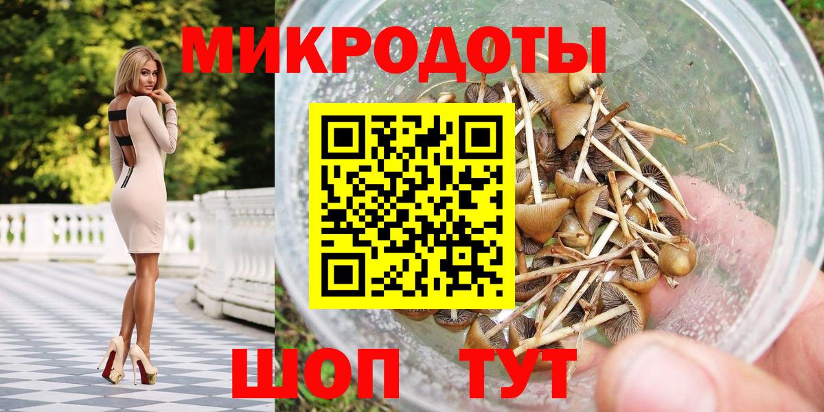 Псилоцибиновые грибы мухоморы  наркотики  Псилоцибиновые грибы ЛСД  Заволжье  Вход с VPN 