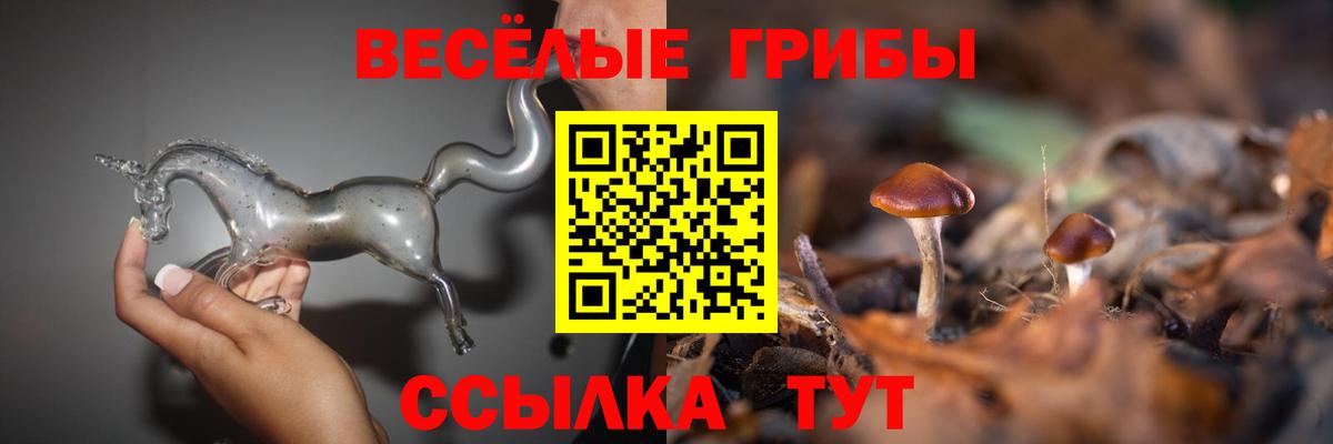 Псилоцибиновые грибы Cubensis Заволжье